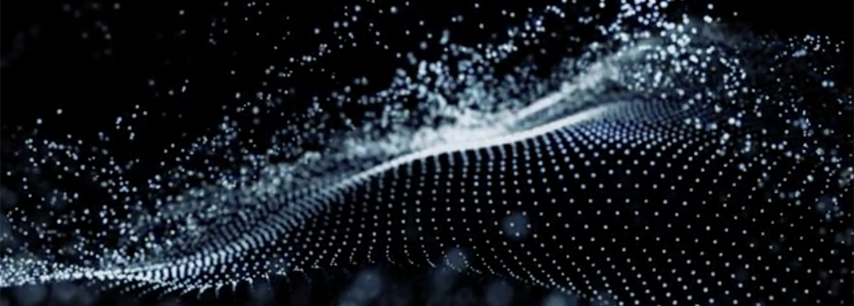 Netzwerk und Partner